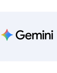 Google Gemini AI Pro